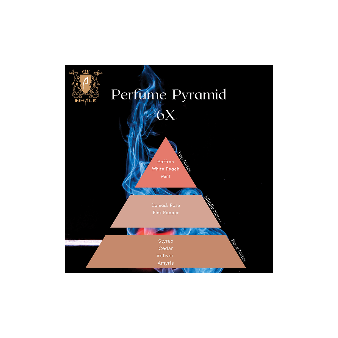 6XADNAN 50 ML - Image 2